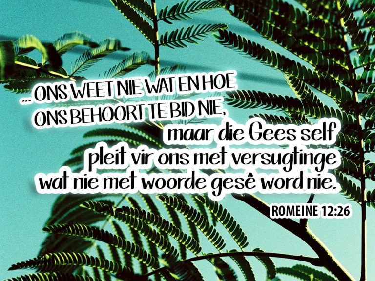 hoe-vra-ek-om-vergifnis-vir-my-sondes